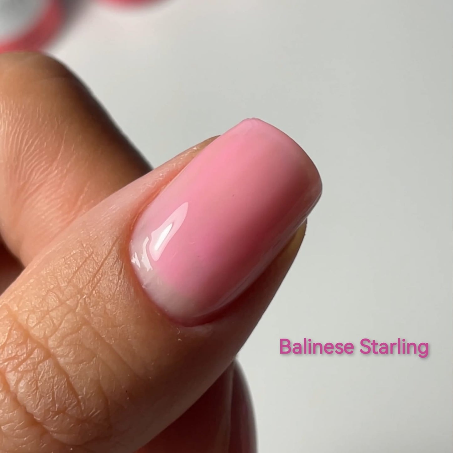 Smalto semipermanente, Exotic, Balinese Starling, TPO & HEMA free, Didier Lab, 10ml