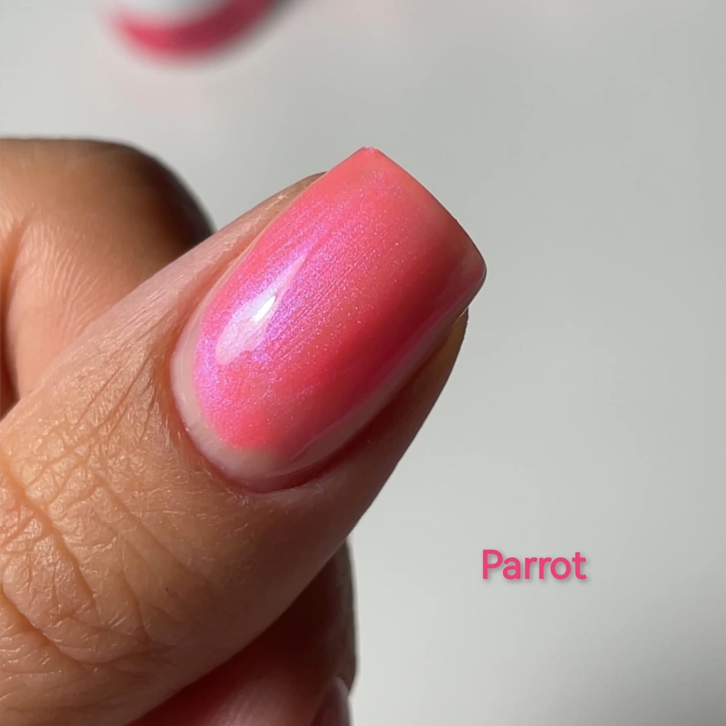 Smalto semipermanente, Exotic, Parrot, TPO & HEMA free, Didier Lab, 10ml