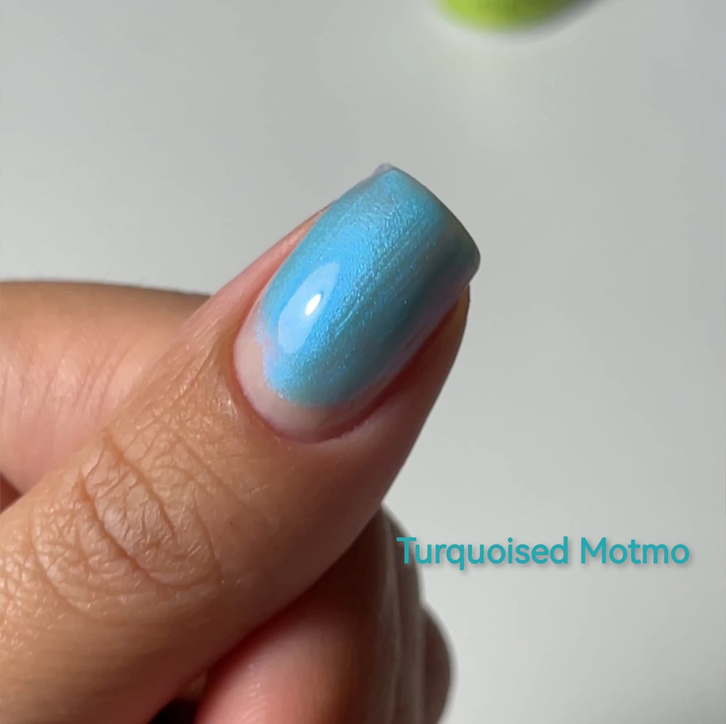Smalto semipermanente, Exotic, Turquoised Motmo, TPO & HEMA free, Didier Lab, 10ml
