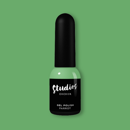 Smalto semipermanente, Studios, parrot, Didier Lab, 8ml